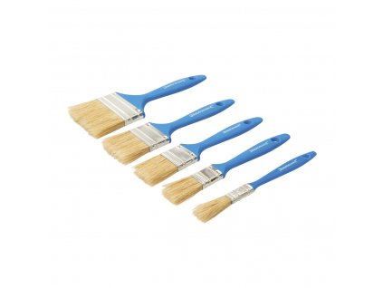 Set mit 5 flachen Einwegbürsten Silverline