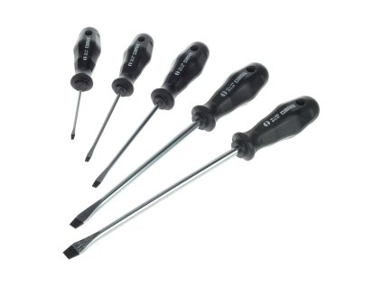 Schraubendreher-Set 5-tlg. PROFI FLAT 8641-00