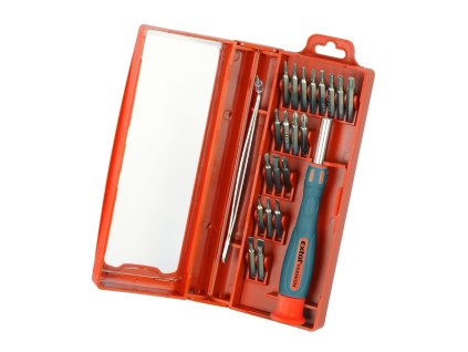 Schraubendreher mit Minispitzen, 22er-Set, CrV