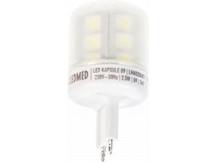 LEDs kaltweiß 2,5 W G9