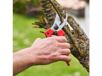 FELCO 171L Gartenschere