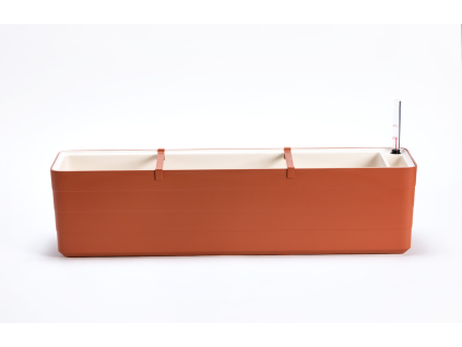 Berberis-Box 80 cm - Terrakotta-Beige