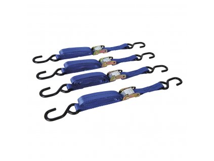 Schnellspannband 2,5 × 25 mm 4 Stück Silverline