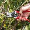 FELCO 933-1 Geschenkset für Floristen und Gartenliebhaber