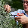 FELCO 933-1 Geschenkset für Floristen und Gartenliebhaber