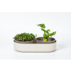 Large Farm Microgreens+Regrow - Elfenbein mit Kaffeesatz
