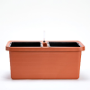 Großer Berberis DUO Blumentopf 80 cm - Terrakotta