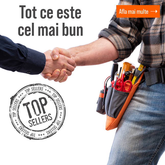 Cele mai căutate produse din 2024