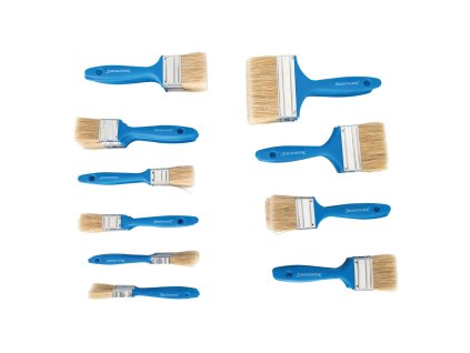 Set de perii de unică folosință 50 buc Silverline