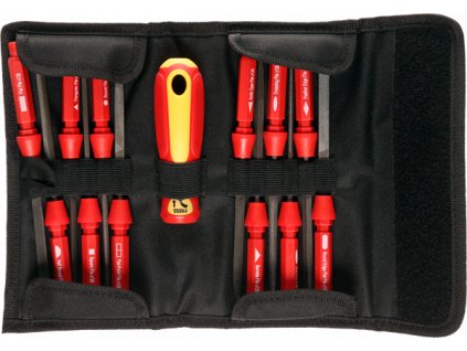 Set pile aciculare 13 în 1