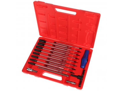 Set de chei cu mâner în T, 21 buc