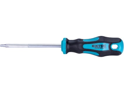 Șurubelniță TORX, TTa25 × 100 mm, CrV