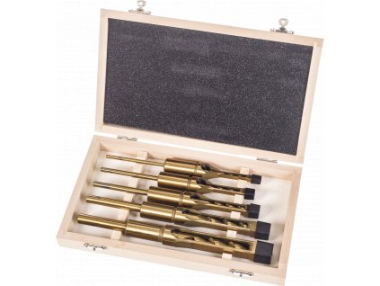 Set burghie de dăltuire 5 buc, cu strat protector