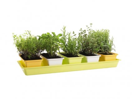 Cutie MINIGARDEN 60 × 40 × 38 cm set 6 bucata. (5+1 buc)