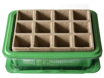 Mini-focar + hârtie de plantare a plăcii.12 câmpuri (3 seturi)