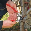 Foarfece de grădinărit FELCO 13