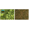 Amestec de iarbă Barenbrug Happy Lawn 500 g