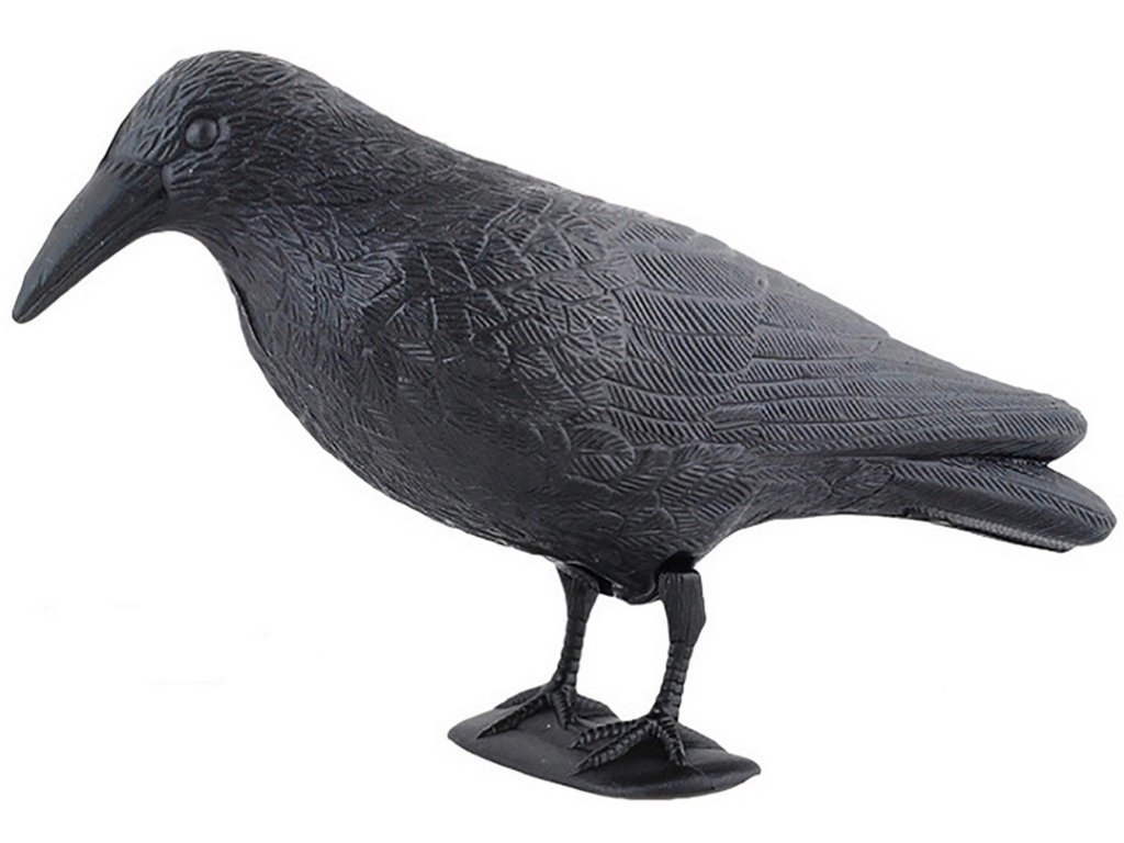 3d