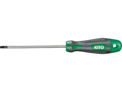 TORX izvijač, T 6 × 100 mm