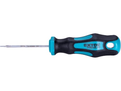 izvijač TORX, TTa30 × 100 mm, CrV