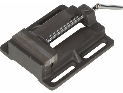 Vice DV - 100