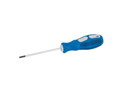 TORX T10 × 75 mm srebrni izvijač