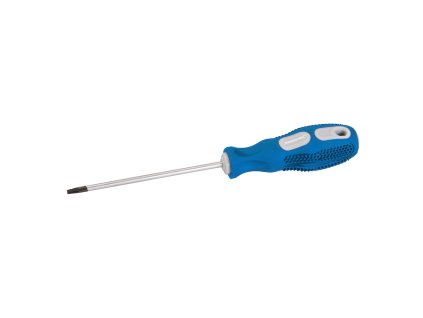 TORX T15 × 100 mm srebrni izvijač