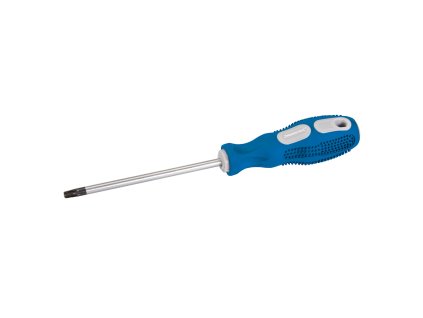 TORX T30 × 115mm srebrni izvijač