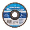 Loputa 115 mm P60 Srebrni aluminijev oksid