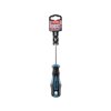 TORX izvijač, TTa25 × 100 mm, CrV