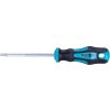 TORX izvijač, TTa25 × 100 mm, CrV