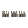 12-v-1 izvijač Silverline Ratchet