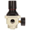 Regulator s 3/4" manometrom