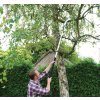 Teleskopski pruner 1,5 - 2,5 m Srebrna črta