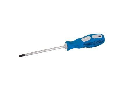 Skrutkovač TORX T25 × 100 mm Silverline