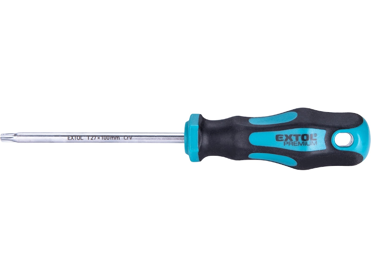 E-shop EXTOL PREMIUM Šroubovák TORX, TTa27 × 100 mm, CrV 8819248