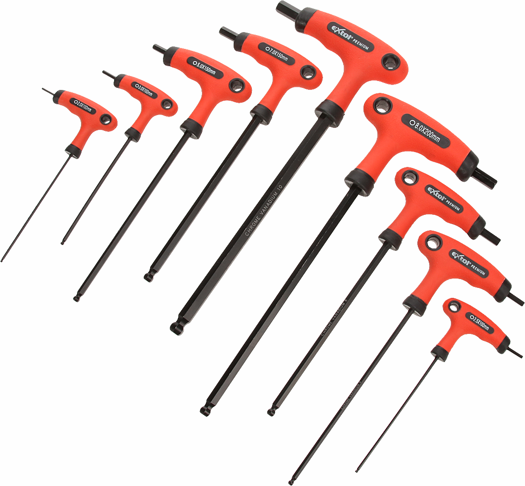 E-shop EXTOL PREMIUM Kľúče imbusové typ T, súprava 9 ks 8819301