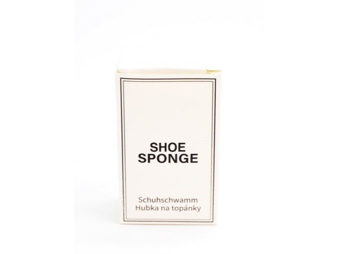 shoe sponge PW