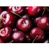 fresh ripe black cherries background anna pustynnikova