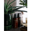 Regenerator 300 ml PHARLAE
