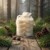 Čajne svijeće ŠAPUĆUĆI BOROVI (WHISPERING PINES) 12 kom