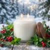 Mirisna sojina svijeća WINTERGREEN 16 oz (454 g)