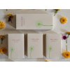 Set za brijanje (SHAVING KIT) WELLSPA