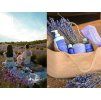 Sampon 250 ml LAVENDER TIHANY