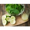 Illatviasz Lime fröccs (LIME SPRITZER) 3,5 uncia (103 g)