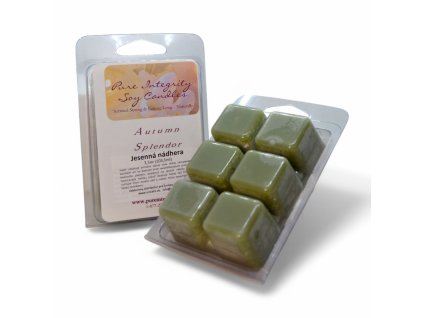 Cera di soia profumata AUTUMN SPLENDOR 3,5 oz (103 g)