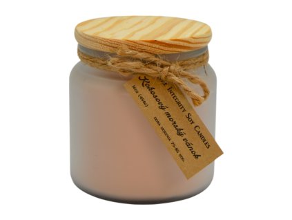 Candela profumata alla soia COCONUT BREEZE da 16 oz (454 g)