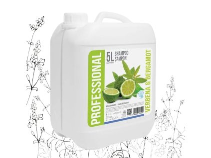 kanister šapmon 5L Photoroom