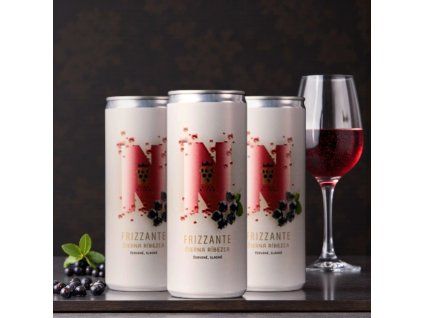 Frizzante rosso - RIBES NERO 250 ml, lattina da minibar