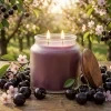 Candela profumata alla soia alla ciliegia nera (BLACK CHERRY), 16 oz (454 g)